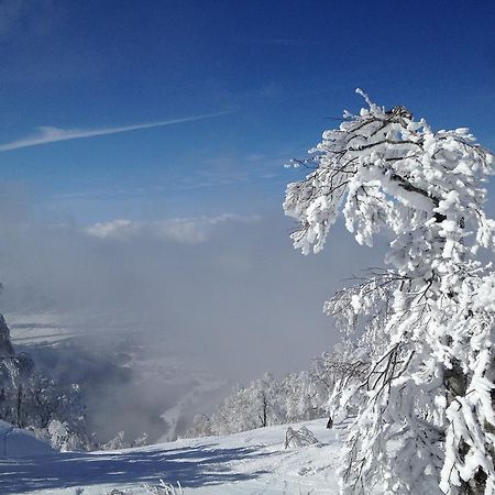 Sawataya Hotell Nozawaonsen Exteriör bild