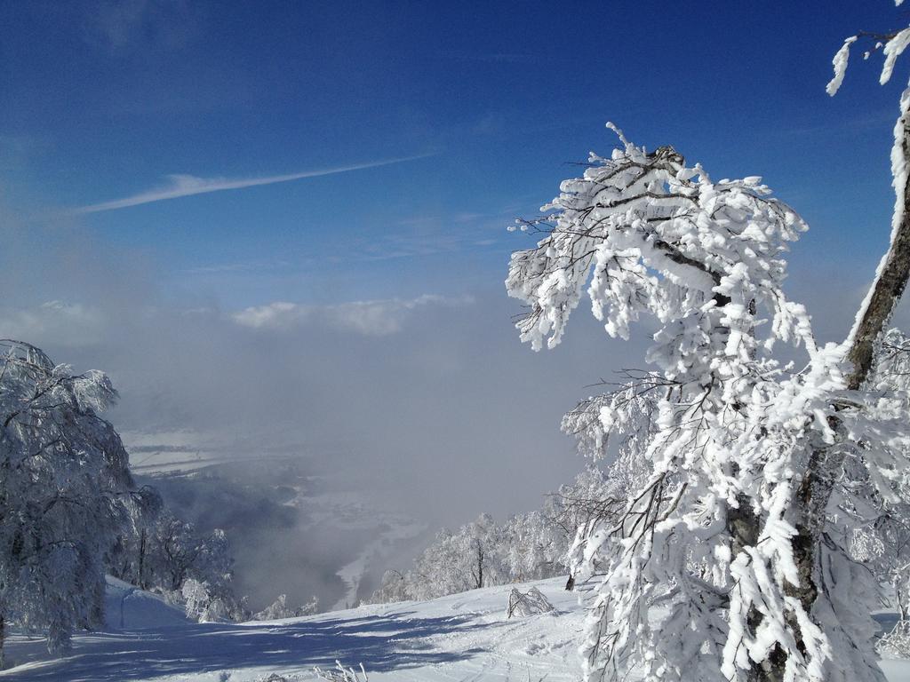 Sawataya Hotell Nozawaonsen Exteriör bild